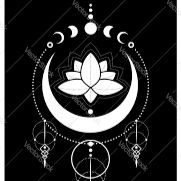 Moon & Muse